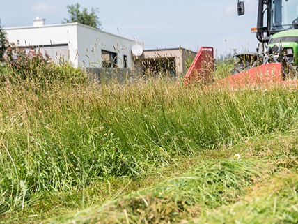 Forage Seed - Caudill Seed Company