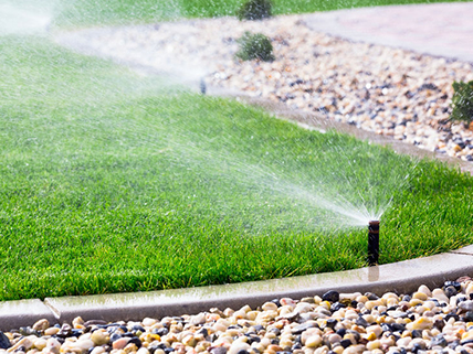 High Quality Turf and Lawn Seed - Wholesale - Caudill Seed Company