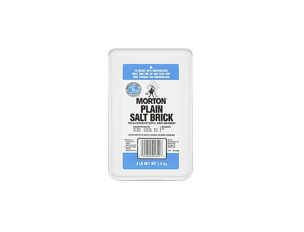 Morton Plain White Salt Brick - Caudill Seed Company