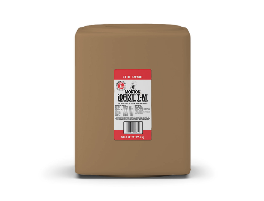 Morton Trace Mineralized Salt Block - Caudill Seed Company