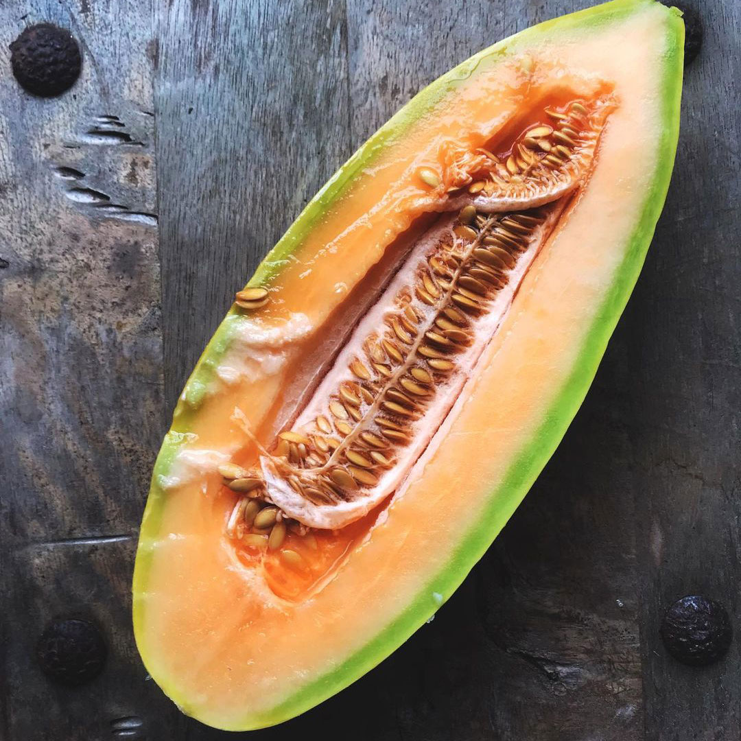 Banana Cantaloupe Seed - Caudill Seed Company
