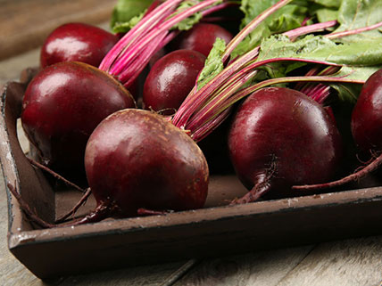 Beet Seed - Bulk & Wholesale