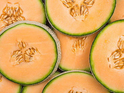 Cantaloupe Seed - Wholesale & Bulk