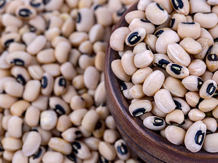 Cowpea Seed - Wholesale & Bulk