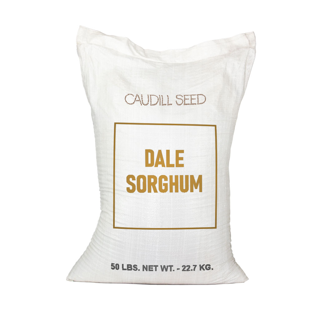 Dale Molasses Sorghum Seed  - Caudill Seed Company