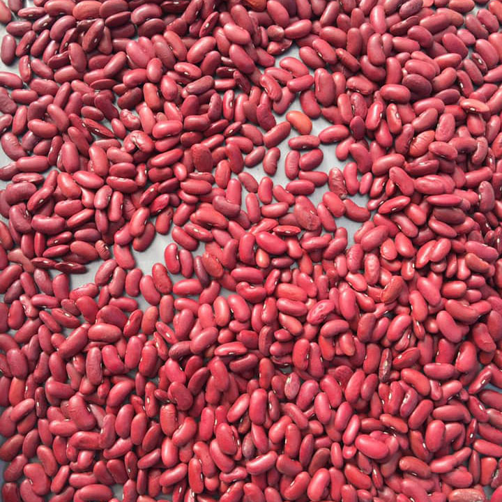 Dark Red Kidney Bean Seed - Caudill Seed Company