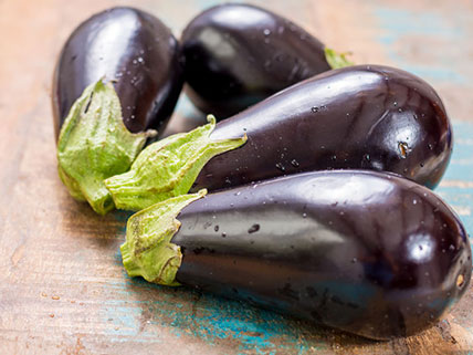 Eggplant Seeds - Wholesale & Bulk