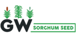 GW Sorghum Seed