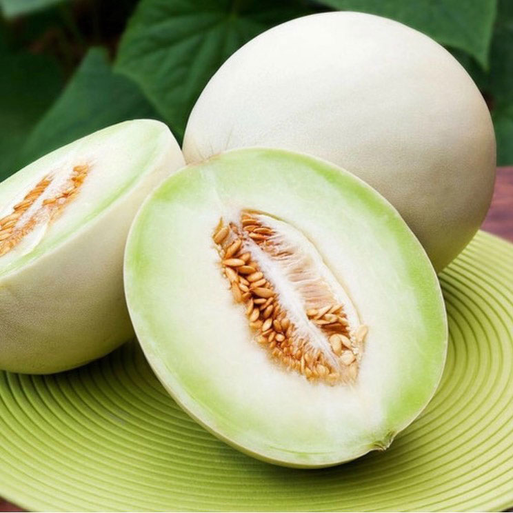 Honeydew Green Cantaloupe Seed - Caudill Seed Company