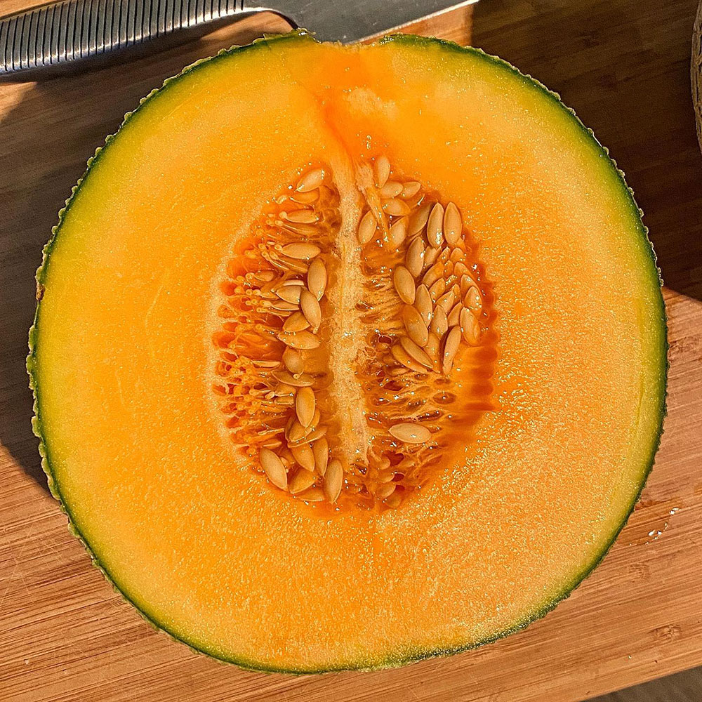 Honey Rock Cantaloupe Seed - Caudill Seed Company