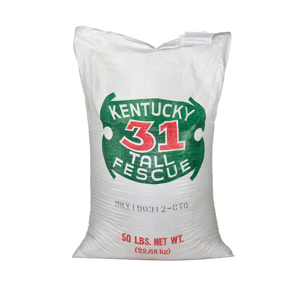 Kentucky 31 Tall Fescue Seed (Coated) - Caudill Seed Company