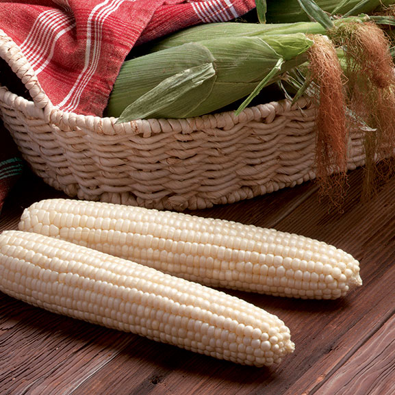 Aspire (Attribute II) Sweet Corn - Caudill Seed Company