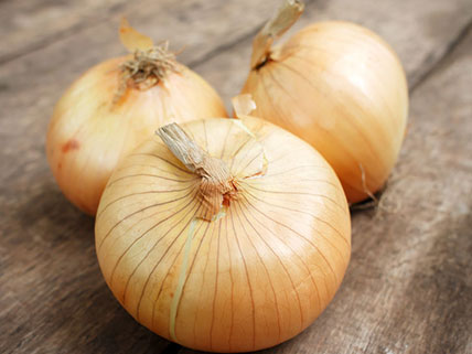 Onion Seeds - Wholesale & Bulk