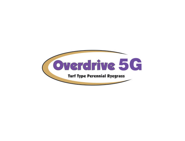 Overdrive 5G Perennial Ryegrass Seed - Caudill Seed Company