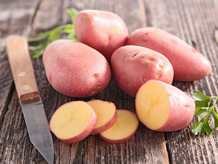 Seed Potatoes - Wholesale & Bulk