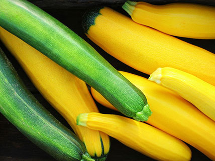 Squash Seeds - Wholesale & Bulk