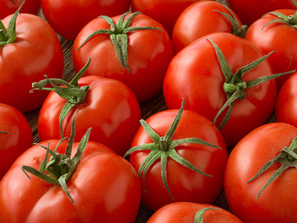 Tomato Seeds - Wholesale & Bulk