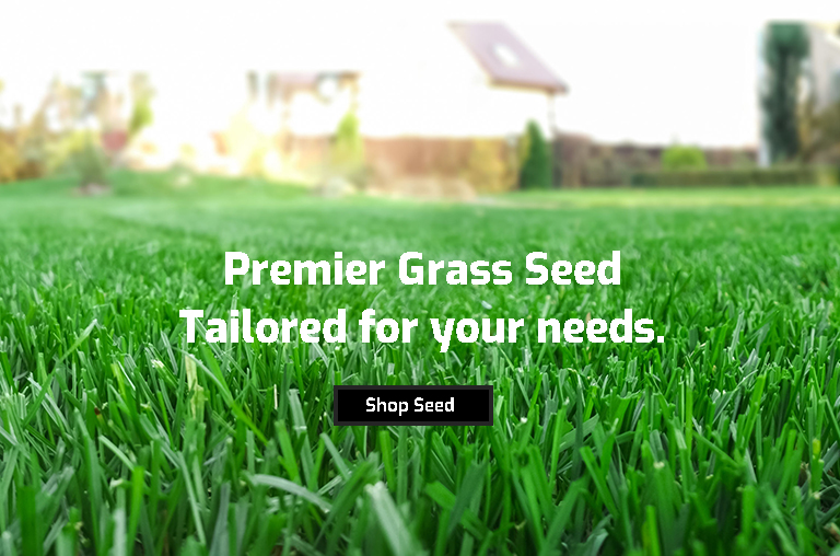 Wholesale Turf Seed