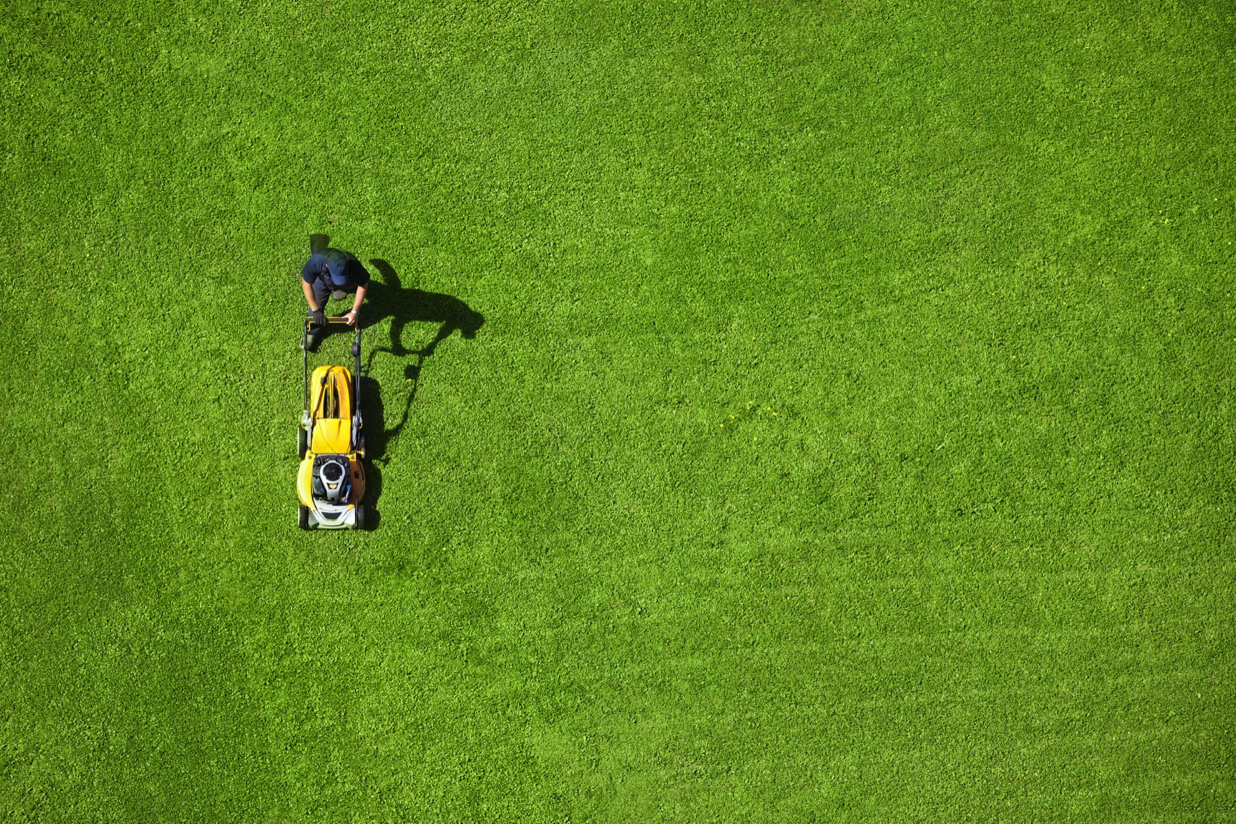 Lawn care technician spraying a green lawn