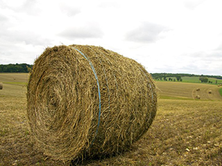 Baling Supplies