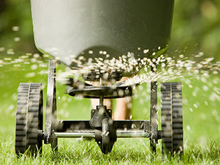 Fertilizer & Pesticides