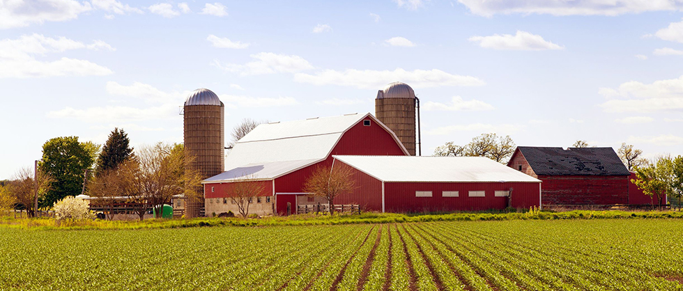 Caudill Seed farmland