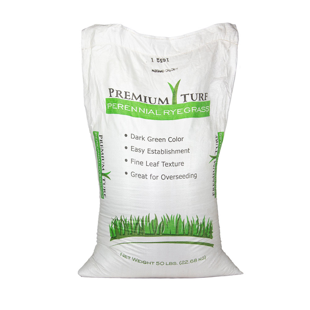 ARCTIC GREEN TURF TYPR PERENNIAL RYEGRASS SEED 50 LB