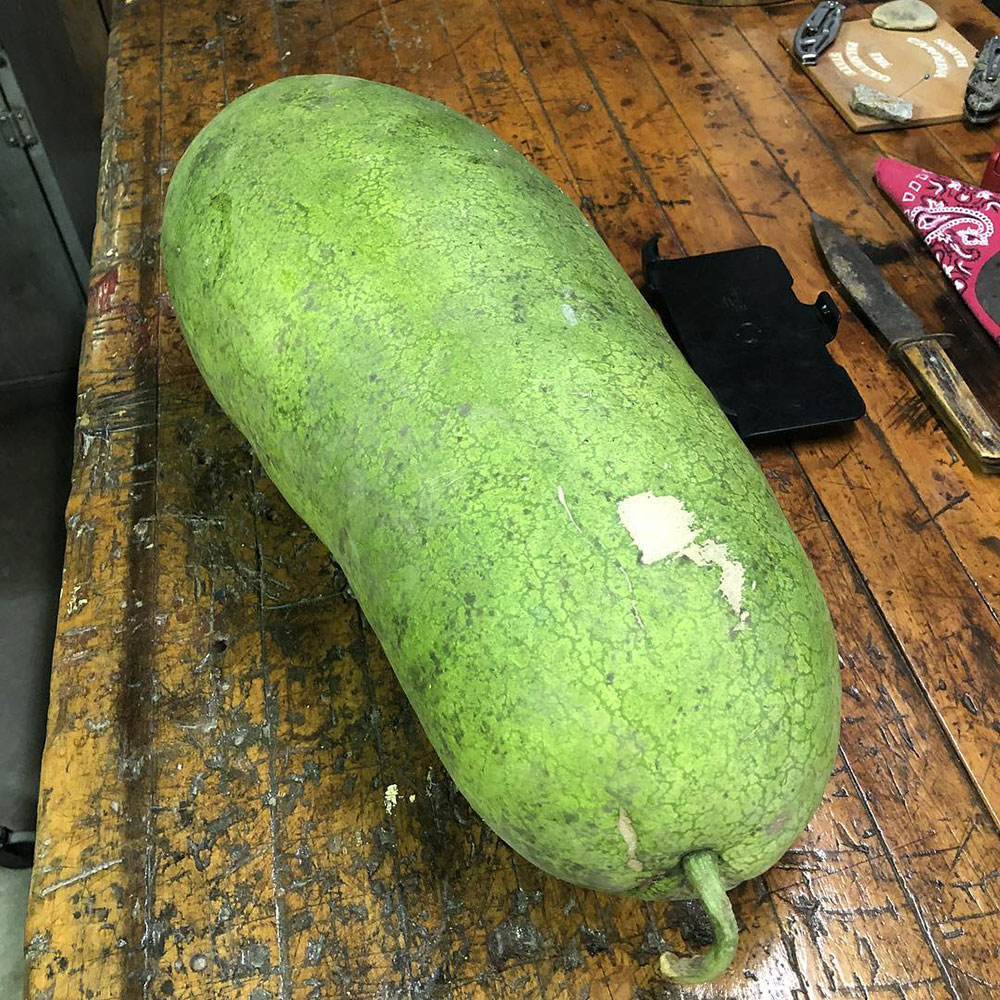 Charleston Grey Watermelon Seed