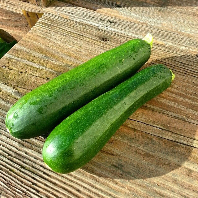 Dark Green Zucchini Squash Seed