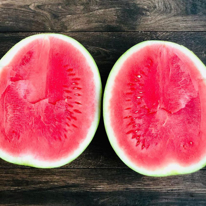Florida Giant Watermelon Seed