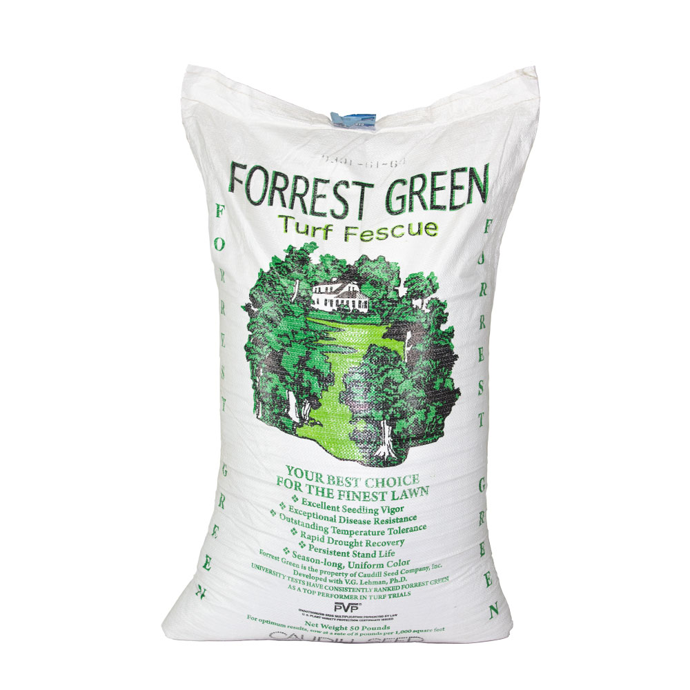Forrest Green II Turf Type Tall Fescue Seed