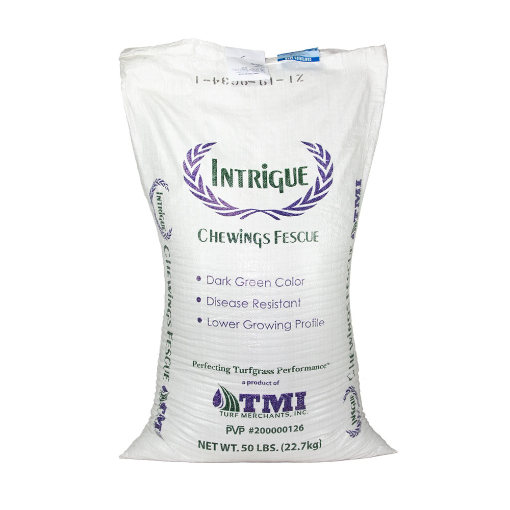 Intrigue Chewings Fescue Seed, 50 Lb Bag