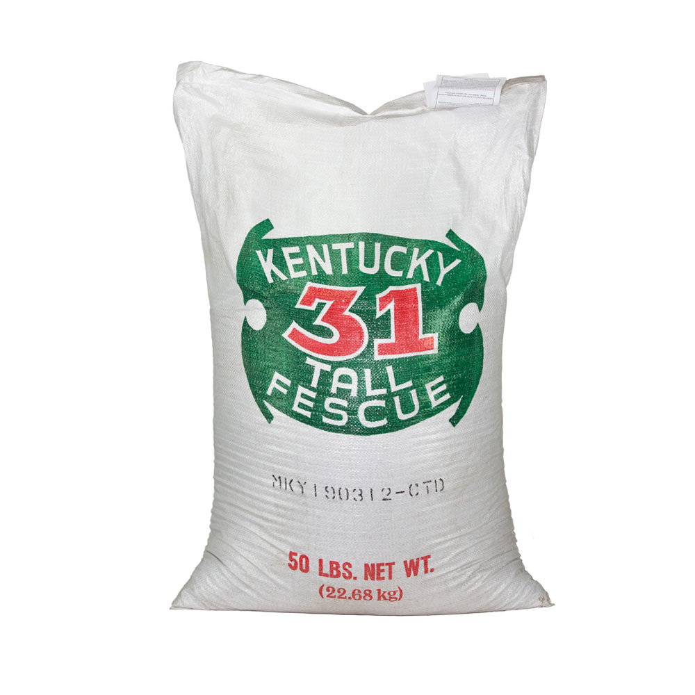 KY 31 FESCUE/ANNUAL RYEGRASS SEED MIXTURE 50 LB