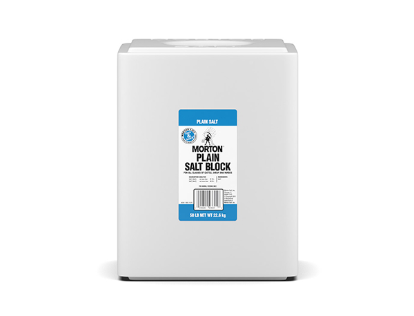 MORTON WHITE LIVESTOCK SALT BLOCK 50 LB 48/PAL