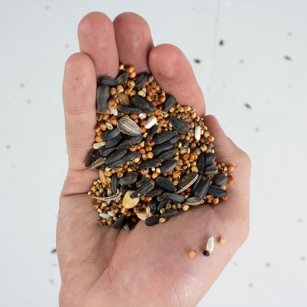 PREMIUM WILD BIRD FEED NO CORN