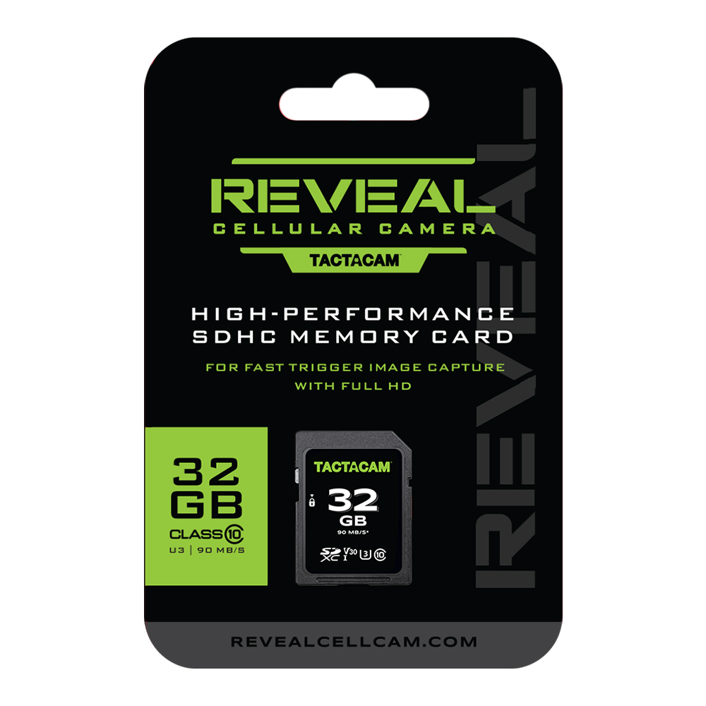 FS32GB FULL SIZE 32 GB SD CARD