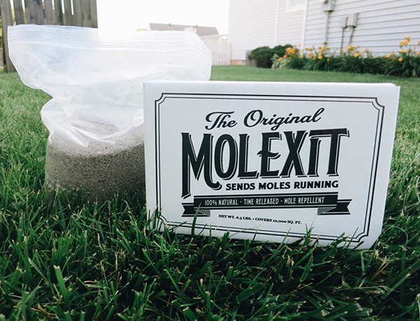 MOLEXIT 6.5 LB