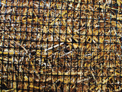 TRINET STRAW/COCONUT PERM. EROSION CON. BLANKET 8′ X 90′