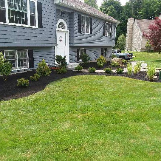 Triple Crown Plus Turf Type Seed Blend
