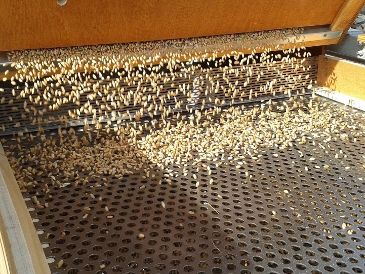 Seed pouring across a cleaning screen